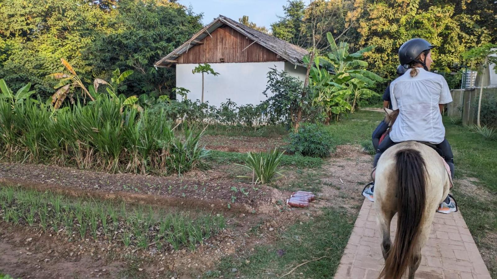 Namkhan Horses Stables Luang Prabang Exteriér fotografie