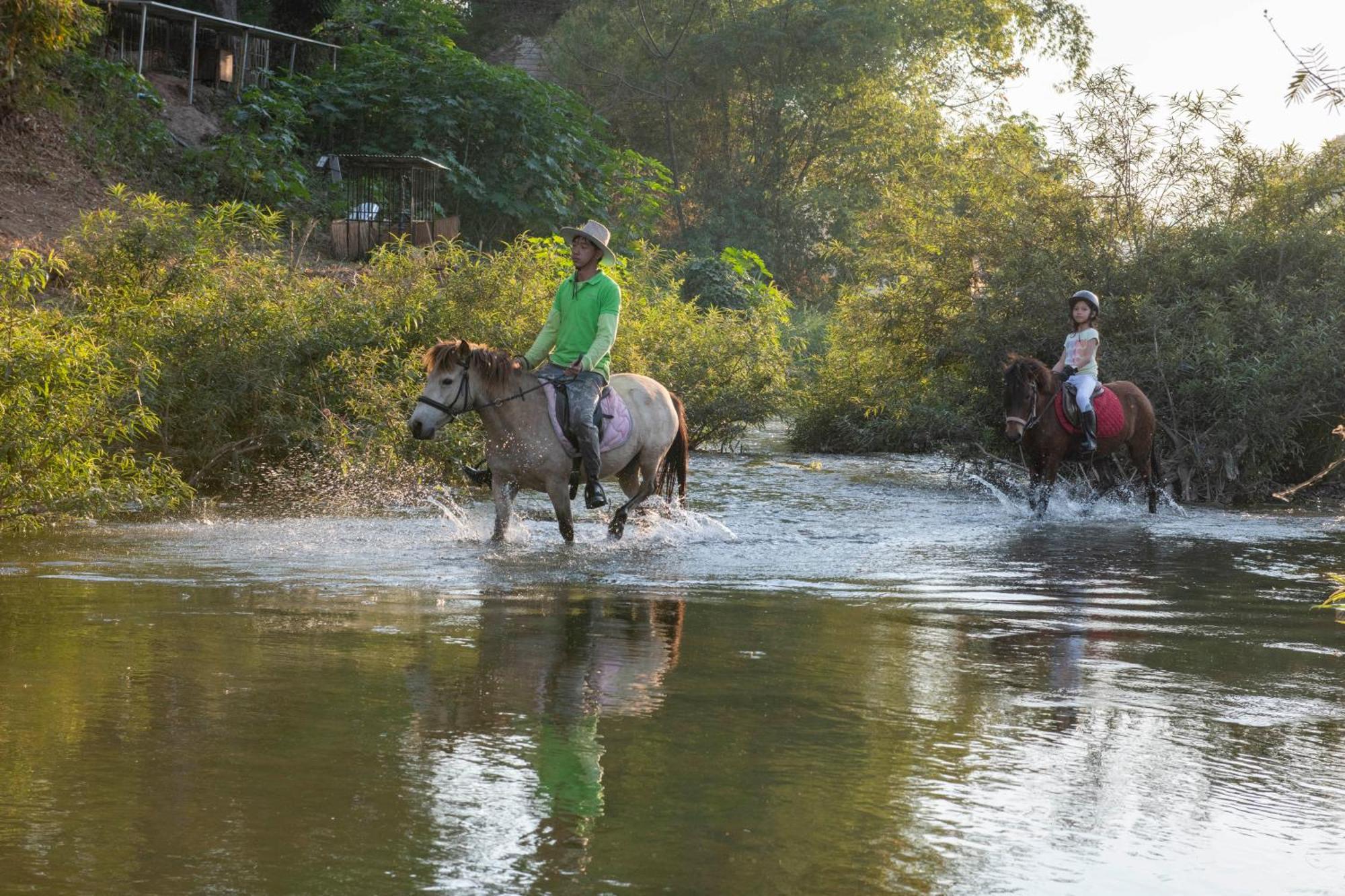 Namkhan Horses Stables Luang Prabang Exteriér fotografie