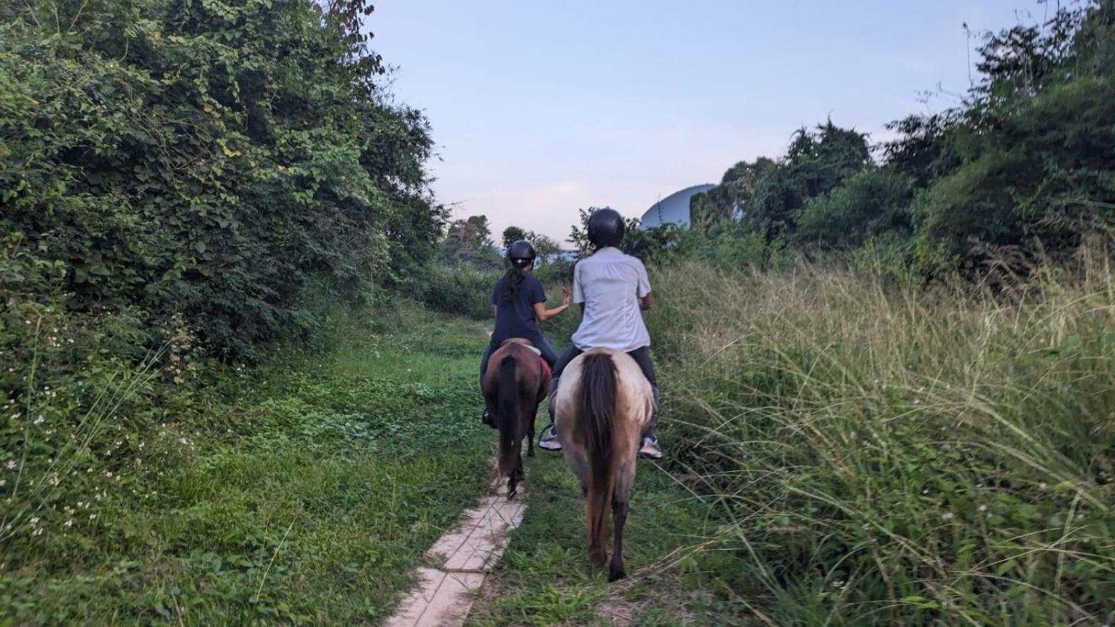 Namkhan Horses Stables Luang Prabang Exteriér fotografie