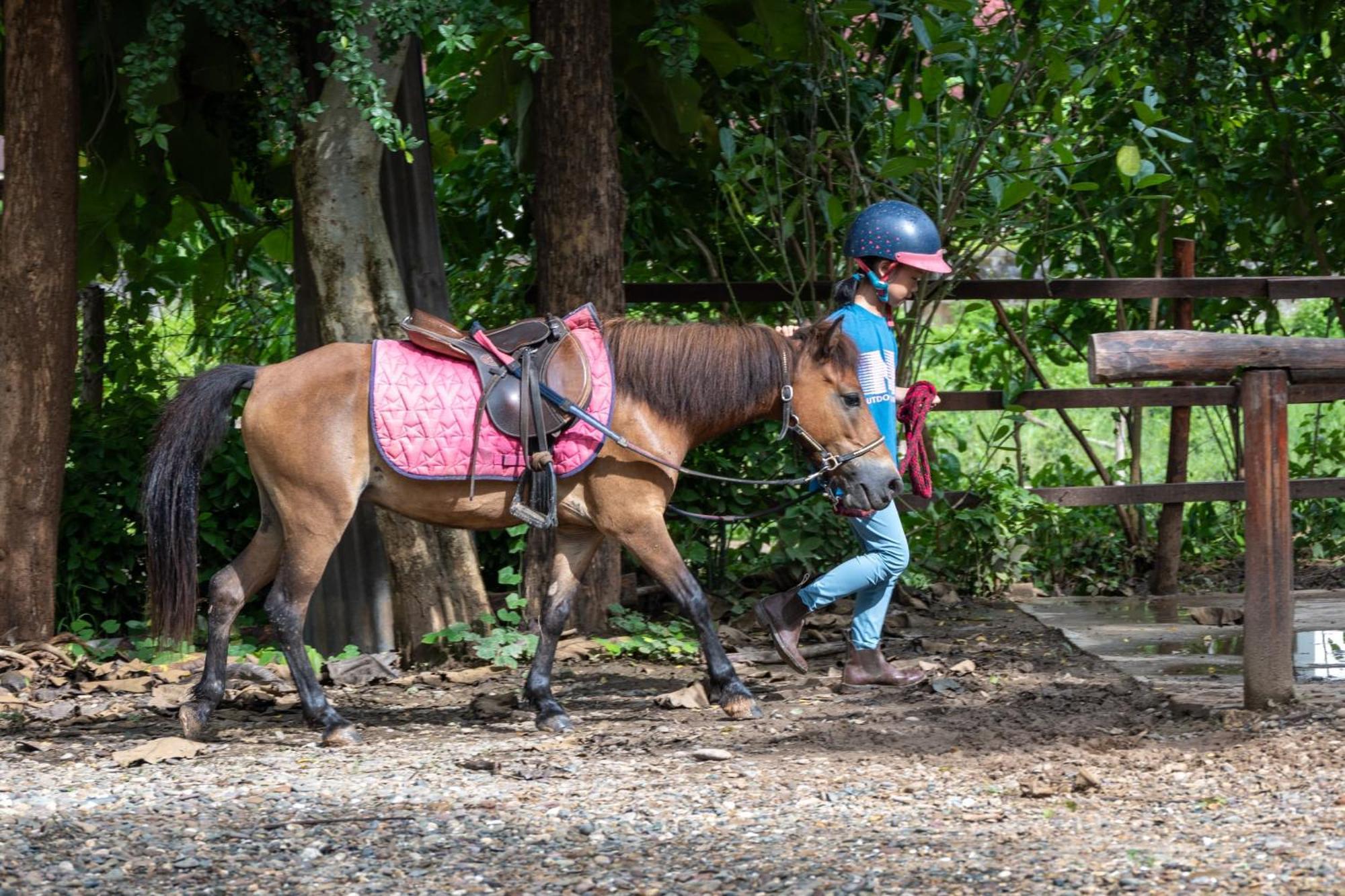 Namkhan Horses Stables Luang Prabang Exteriér fotografie