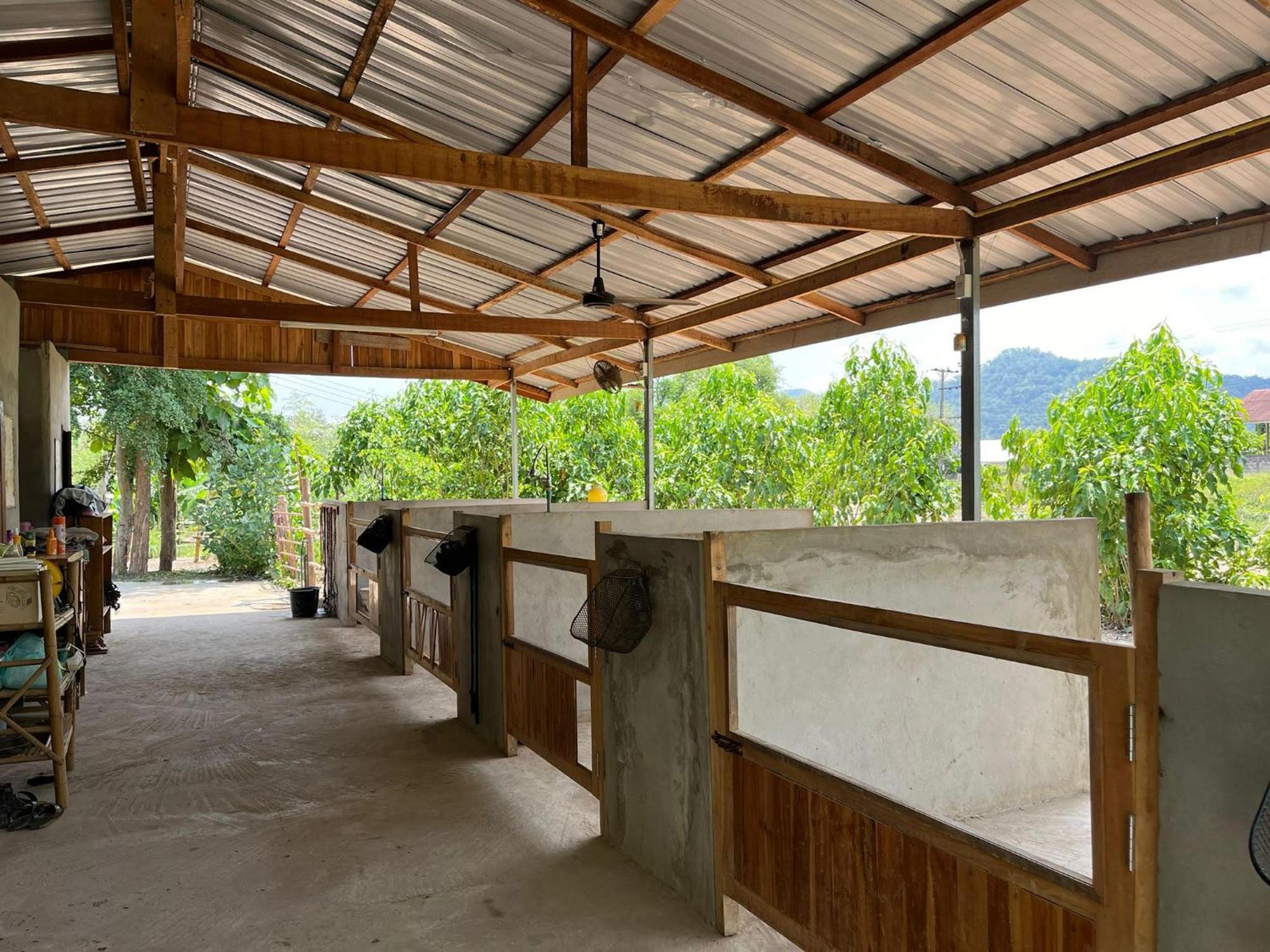 Namkhan Horses Stables Luang Prabang Exteriér fotografie